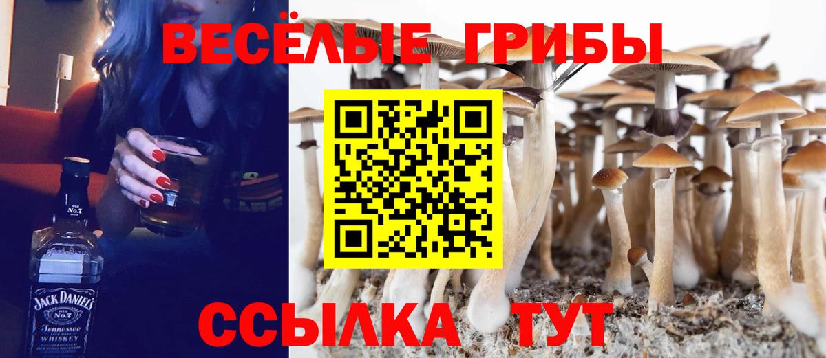 Псилоцибиновые грибы Psilocybine cubensis  Вход с VPN  Псилоцибиновые грибы ЛСД  Ханты-Мансийск 